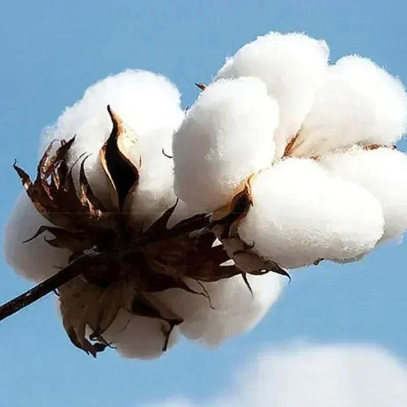 Аниме Атака Титанов Футболки Мужские Высококачественный Хлопок Shingeki No Kyojin Футболка Короткий Рукав Манга Эрен Микаса Топы Футболки