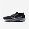 Мужские кроссовки для трейлраннинга Pegasus Trail 5 GORE-TEX FQ0908-001