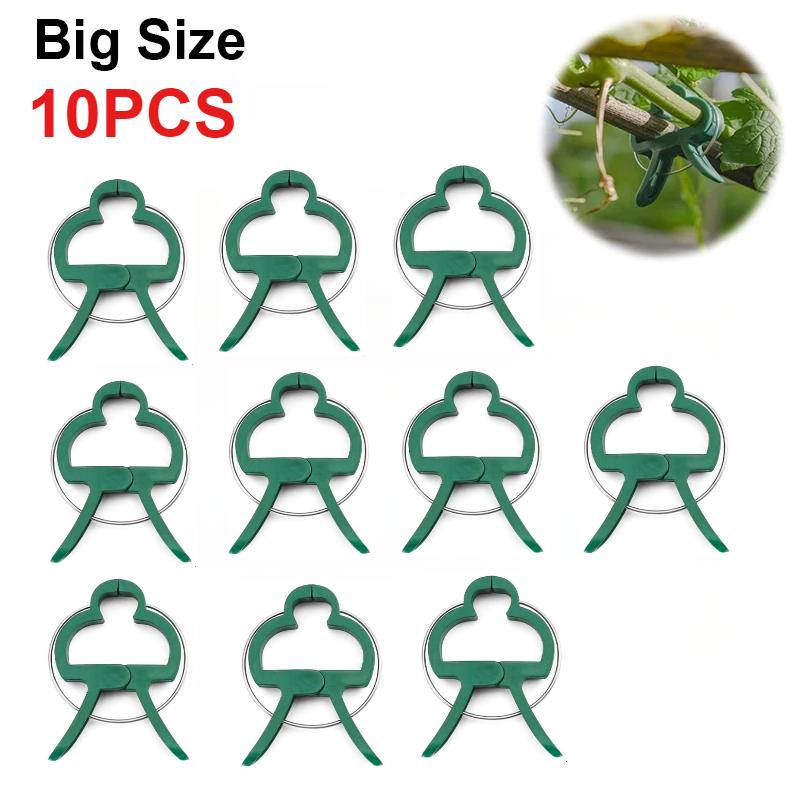 50 шт. фиксированных зажимов для растений, многоразовый зажим для садовой теплицы, кронштейн для фиксированных растений, инструментов для поддержки стеблей саженцев виноградной лозы