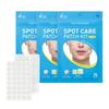 Spot Care Patch Kit 76p Set, 76 Sheets, 3 Units