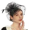 Tea Party Fascinator Women Fascinator Headband Feather Fascinator Derby Pillbox Hat Cocktail Tea Party Veil Mesh