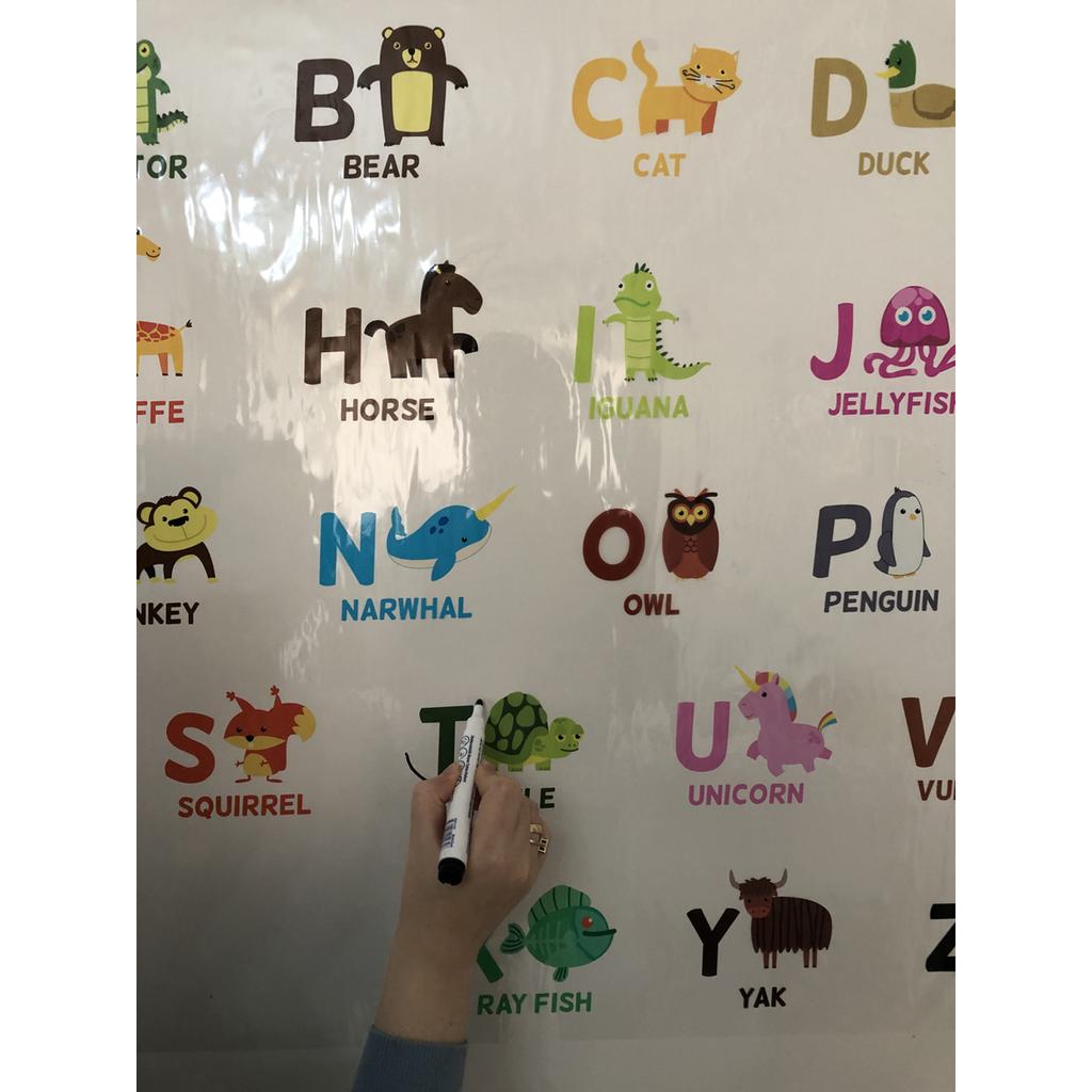 Образовательные Письма Исследование Письмо Обучение Ученик Начальной Школы Образование Доска Английская Бумажная Доска