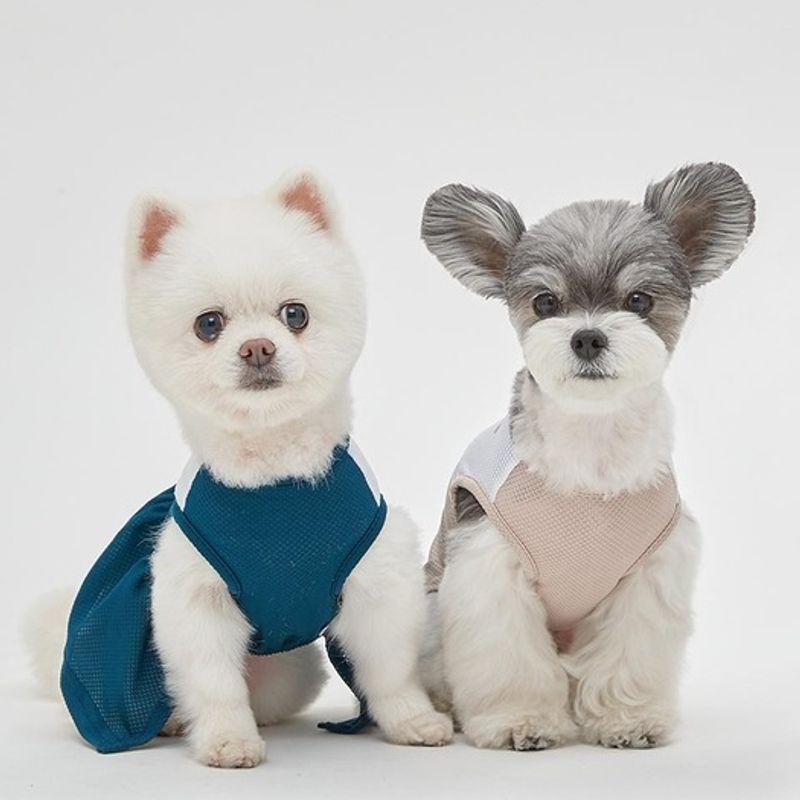 MIMINKO Cheerleader Mesh Dress [DW4MO1140]