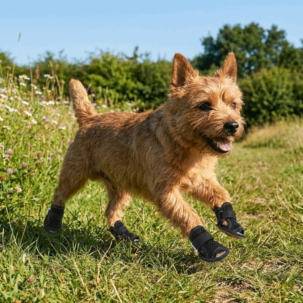 4Pcs/Set Soft Summer Dog Shoes Non-Slip Hollow Puppy Shoes Dog Paw Protector for Small Medium Dogs