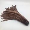 Natural  50pcs Rooster Tail Feather  Plumes 25-45CM 10-18inch Beige DIY Dyed Cock Tail Clothing Accessories Jewelry Performance