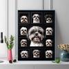 White Dogs 100% Round Full Drill 5D DIY Diamond Painting Embroidery Cross Stitch Rhinestone Décor