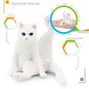 Cute Pet Cat Figures PVC Kids Toy Party Decoration Cat Animal Model  Gift