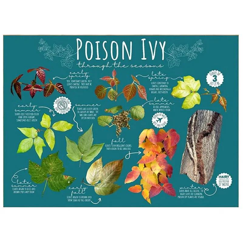 Металлическая жестяная табличка Сад Красивые цветы Винтажная жестяная табличка Цветок Лаванда Металлическая настенная панель Ретро Арт Декорация для дома Кафе Бар