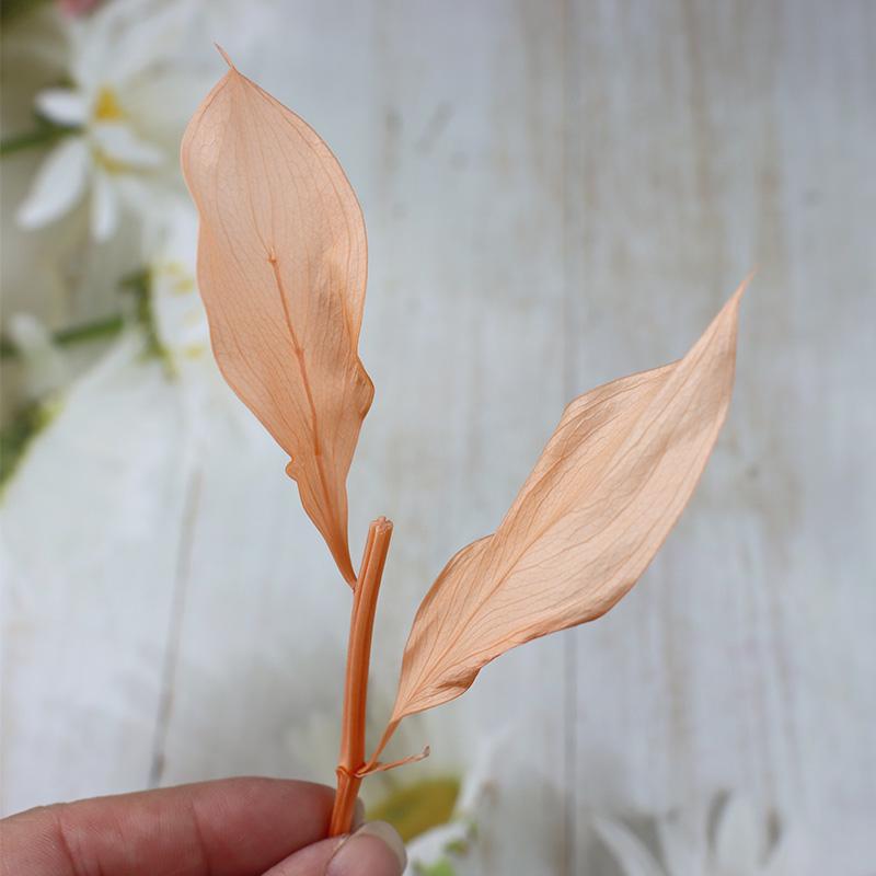 DIY Floral Art Ornament: Preserved Tangerine & Fishtail Leaf, Lily, Bamboo Dried Flowers – Ikebana Photo Prop for Home Décor.