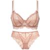 Women Sexy Lace Bra Set See Through Thin Lingerie Briefs Set Elegant Ladies Embroidery Underwear Daily Bra and Panty Set