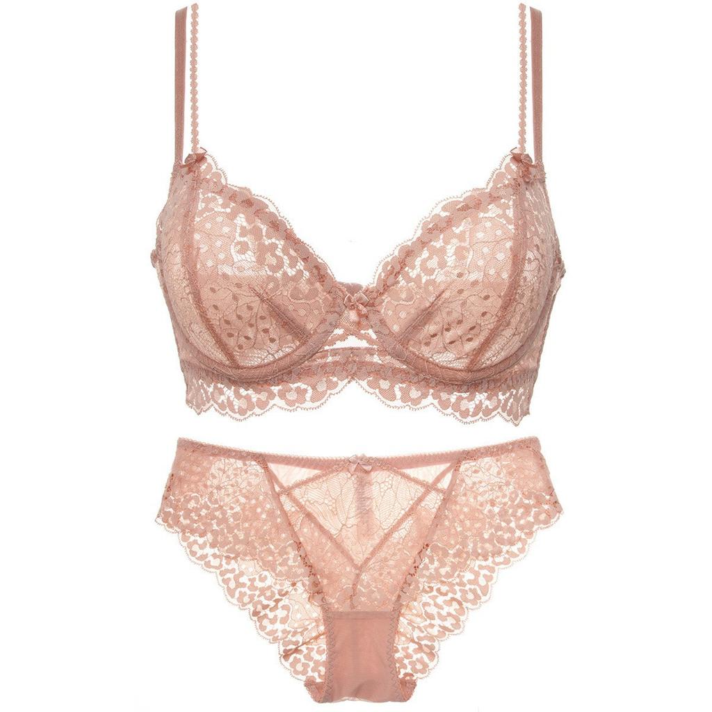 Women Sexy Lace Bra Set See Through Thin Lingerie Briefs Set Elegant Ladies Embroidery Underwear Daily Bra and Panty Set