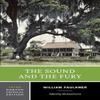 The Sound and the Fury by William Faulkner Paperback Book 9780393912692