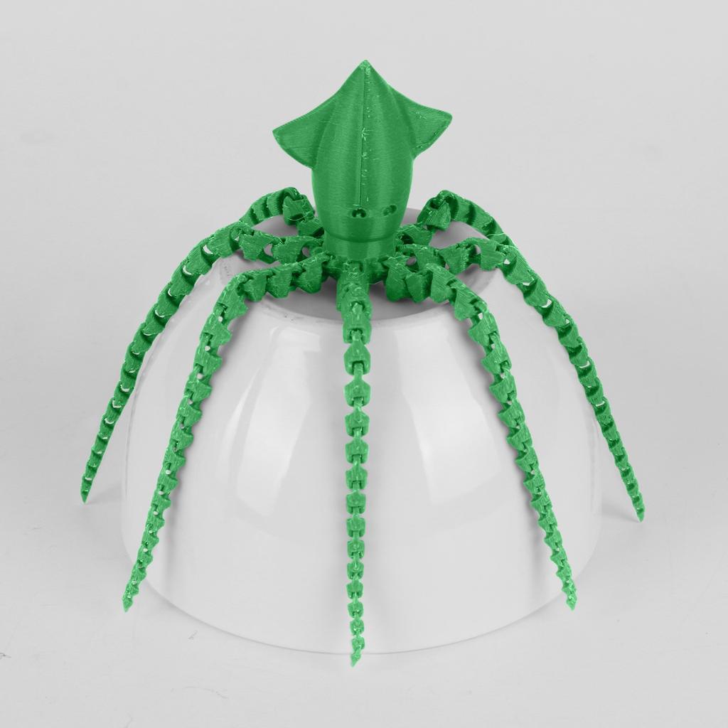 3D Printing Cuttlefish 3D Printing Articulated Cuttlefish Toy Adult Children's Toy Mysterious Cuttlefish Toy