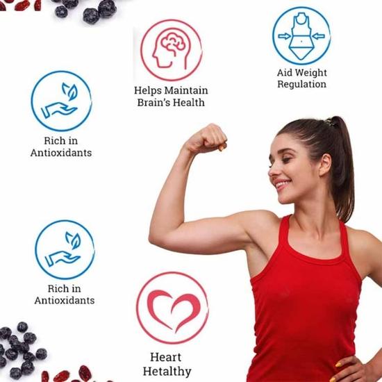 HEALTHY MASTER Видение служить здоровым Здоровый мастер Смешанные сушеные ягоды - 250 г | Натурально сушеные ягоды | Премиальные обезвоженные сушеные ягоды