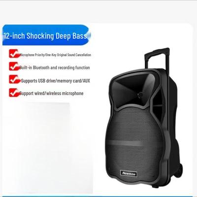 Kankeirr 12-дюймовая портативная Bluetooth-колонка для улицы с выдвижной ручкой, штекер CN (адаптер в комплекте)