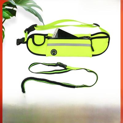 Светоотражающая водонепроницаемая поясная сумка для бега с поводком для домашних животных