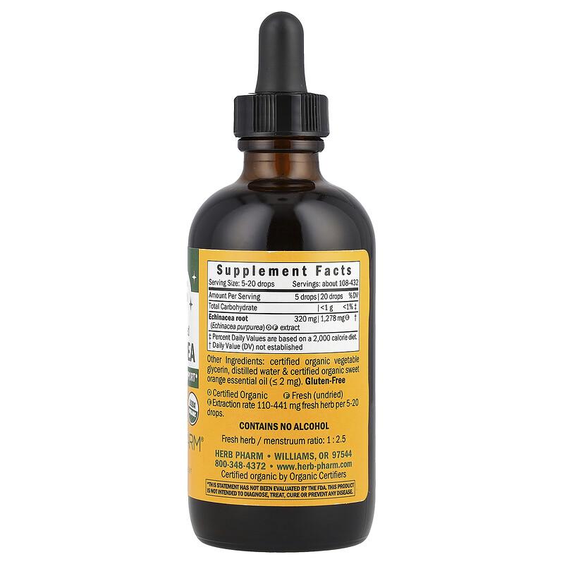 Kids Echinacea, Alcohol Free, Orange , 4 fl oz (120 ml)