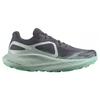 SALOMON Женские кроссовки Glide Max TR Ebony Blue Haze Серый Какаду L47317500