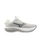 Mizuno Wave Rider 30 Sw_J1Gm2621 (Тип B)