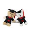 Cute Doctor Bear Plush Toy Keychain Adorable Teddy Bag Charm Pendant Doll