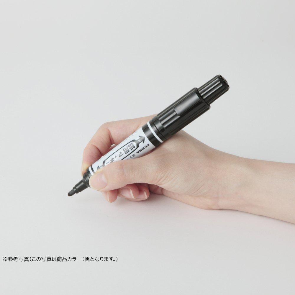 Zebra Pen for 10 Water-Based Paper, Makiki, Gray, Pens, B-WYT5-GR