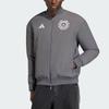 adidas Мужская теплая хлопковая куртка Mercedes - Amg Formula 1 Team Silver Series, двусторонняя, артикул KR3572