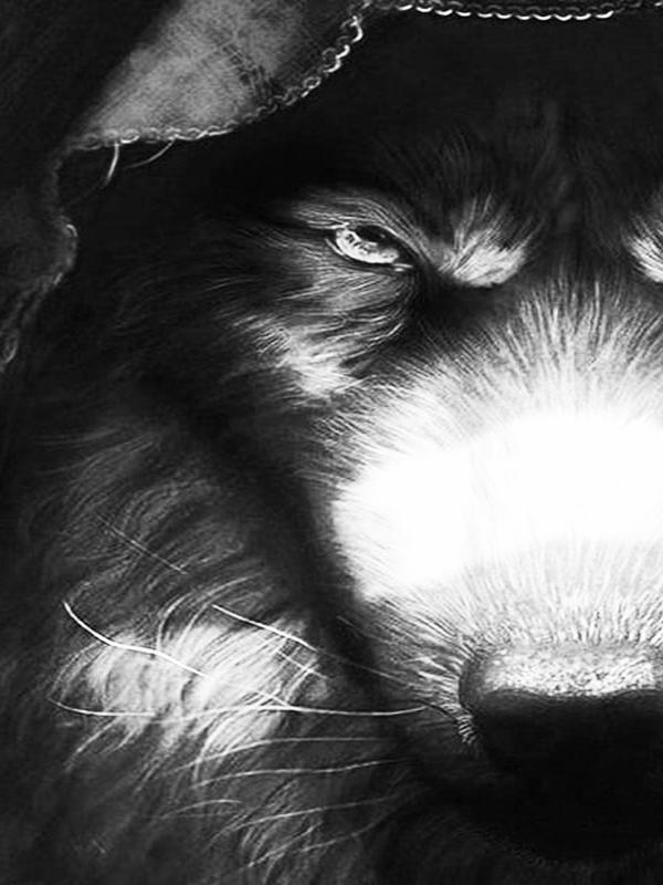 RUOPOTY Картина по номерам Слон, акрил на холсте, уникальный подарок, картина по номерам, лев, животное, украшение для дома