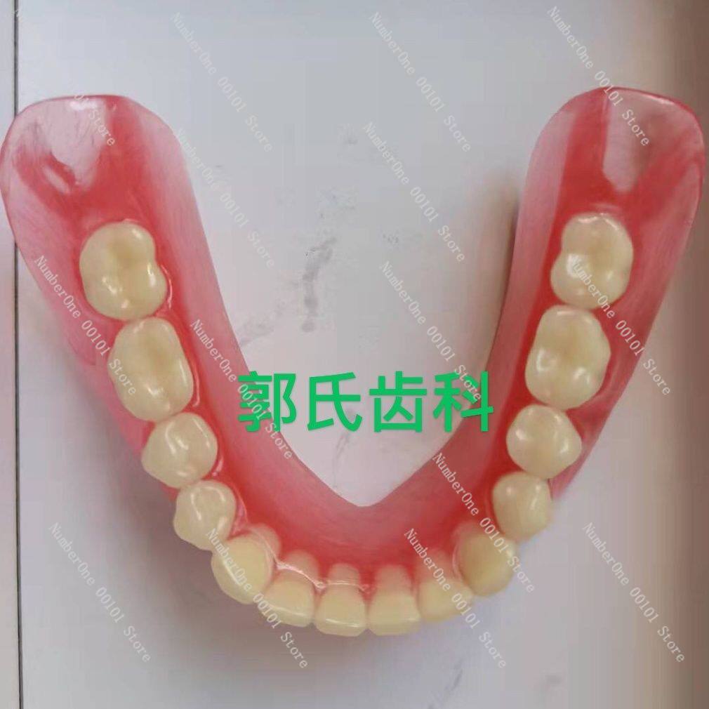 Full senior teeth, full tooth models, display supplies, full dentures, movable teeth, removable dentures