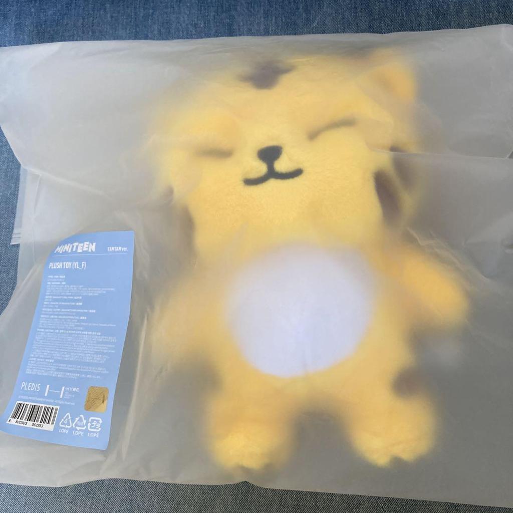 [USED] Hoshi MINITEEN Pop-up Plush Toy Seventeen