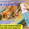 Pet Potty Training Spray 120ml Toilet Trainer for Cats and Dogs Natural Lure Liquid Fast Effective Housebreaking
