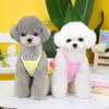 New Pet Clothes Spring and Summer Dog New Skirt Dog Clothing Teddy Small Dog Skirt Candy-colored Layered Skirt