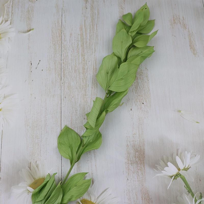 DIY Floral Art Ornament: Preserved Tangerine & Fishtail Leaf, Lily, Bamboo Dried Flowers – Ikebana Photo Prop for Home Décor.