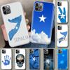 Чехол для телефона с флагом Сомали для iPhone 11 12 13 Mini 14 15 Plus 16 Pro Max 17 Air 7 8 + SE Художественный Индивидуальный Fund