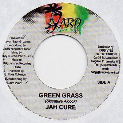 7-дюймовая пластинка JAH CURE - Green Grass NONE Yard Vybz Ent. 2008 Ямайка Регги, Ска и Даб Б/У