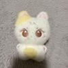 [USED] Enhypen Jungwon Plush Toy