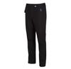 Regatta Dayhike IV Pants