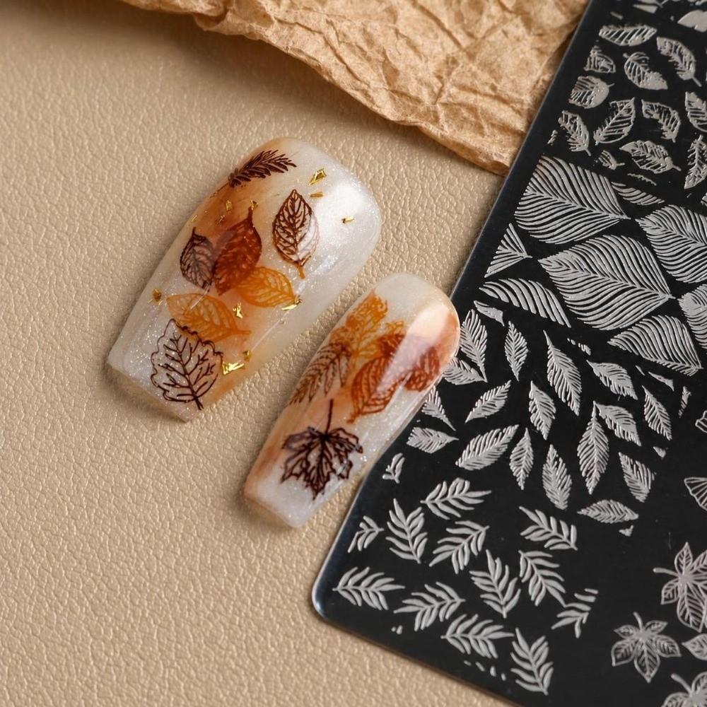 Stainless Steel Nail Stamping Plate Polka Dot Nail Template Print Tool Nail Art Template for Women