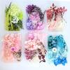 1 Box Preserved Flower Beautiful Bright-colored Dried Flower Stylish Visual Effect Dried Flower Display for Home