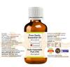 Greenwood Essential Garlic Essential Oil (Allium Sativum) Pure | Non-Sticky | Non-greasy | Lightweight | Men & Women | All Skin Types | Steam Dis