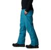 Columbia Брюки Bugaboo™ IV