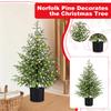 60CM Norfolk Christmas Tree Front Door Christmas Tree Decoration Indoor Living Room Christmas Decoration