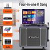 Sansui Portable Outdoor Karaoke Bluetooth Speaker