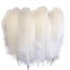 White Goose Nagoire Loose Feather 5-7"/13-18cm Goose Feathers for Crafts Clothing Accessories Feather for Jewelry Making Plumas