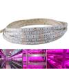 Светодиодная фито-лампа 5050SMD 5M DC12V Full Spectrum Grow Lights водонепроницаемые лампы для палатки для выращивания рассады овощей и цветов