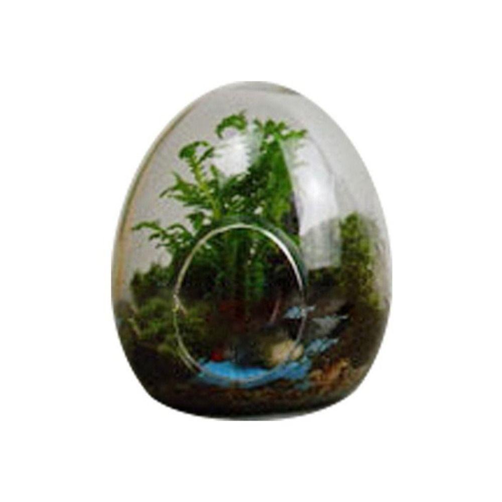 Egg-shaped Hydroponic Glass Bottles Home Decoration Succulent Glass Vase Micro Landscape Glass