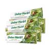 6 Pcs Herbal Neem Toothpaste + FREE Toothbrush - Pack of 6 Herb'l