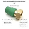 PPR Water Heater Union Pre-Filter Connector: 25 To 1 Inch, 4-6 Points, 32 Straight Elbow, Copper Water Pipe Fittings