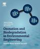 Книга Ozonation and Biodegradation In Environmental Engineering : Dynamic Neural Network Approach