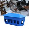 Pigeon Feeder Food Dispenser Removable Bowl Bird Feeding Chicken for Garden