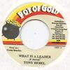 7inch Record TONY REBEL / JOAN DIXON - What Is A Leader / God Is The Answe Pot Of Gold 2001 Jamaica Reggae, Ska & Dub
